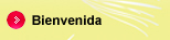 Bienvenida